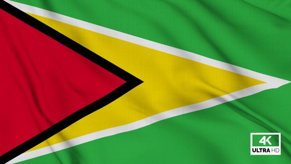 Guyana Flag Waving Slowly Looped