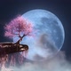 Sakura On The Cliff In Blue Moon Night 4K - VideoHive Item for Sale