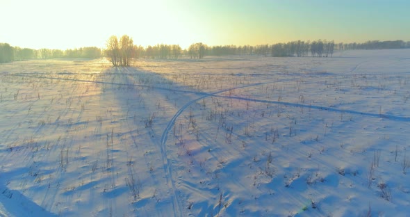 Aerial Drone View of Cold Winter Landscape with Arctic Field Trees Covered with Frost Snow and