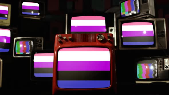 Genderfluidity Pride Flag and Retro TVs.