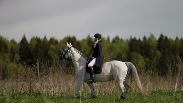 Young Woman is Riding on Horseback Professional Jockey is Training Preparing to Competition