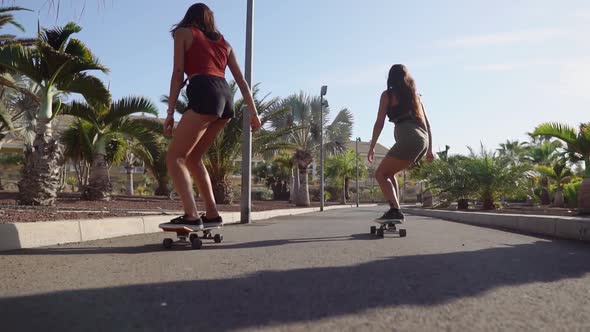 Two Girls on Skateboards in Short Shorts Rides Along the Road Along the Beach and Palm Trees