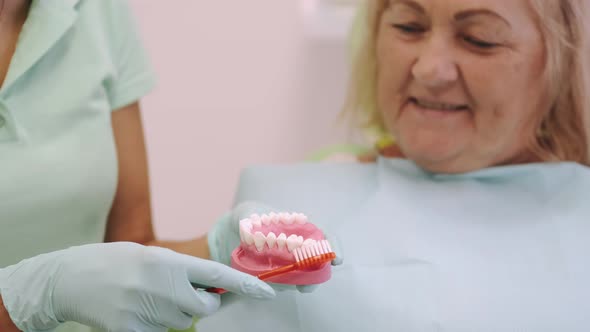 Dentist Explaines Something on Layout of Teeth To Her Female Client