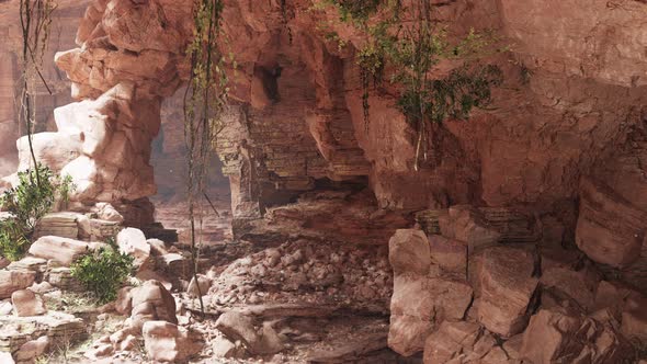 Inside a Limestone Cave with Plants and Sun Shine