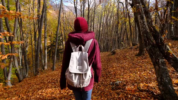 Woman with Backpack Walking on a Road in the Forest