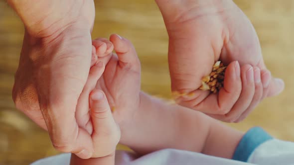 Vertical Screen Hands of Father Pouring Wheat Grains Into Hands of Son