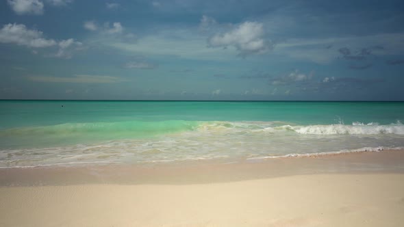 Beach Near The Sea