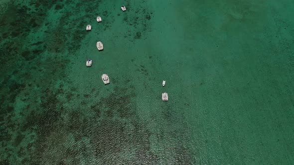 Top View of Snow-white Catamarans Floating on the Indian Ocean. Coral Reef of the Indian Ocean