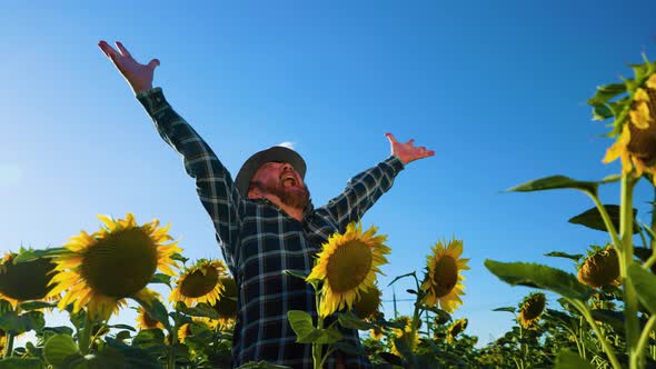 Senior Screaming Man Farmer Standing on Farmland with Arms Raised Up Joyful Elated Happiness