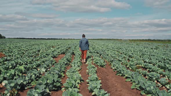 Walking Along Field