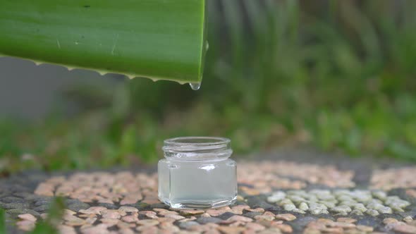 A Drop of an Aloe Juice Falling Into the Small Glass Jar