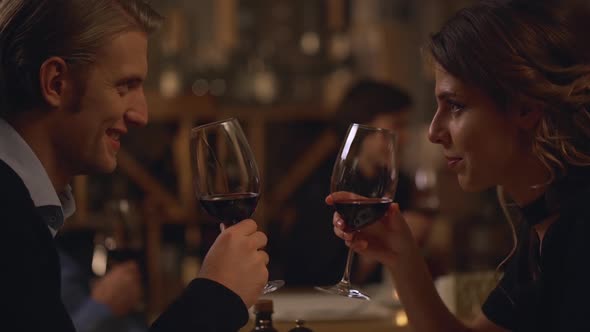 Beautiful Male and Female Lovers Sitting at Restaurant Clanging Glasses with Wine and Drinking