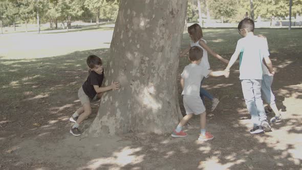 Cheerful Kids Round Dancing Around Tree Trunk in City Park