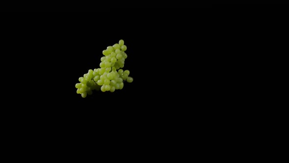 Close Up at the Fresh Grape Flies Up and Spinning on a Black Background in Slow Motion Shot Vivid