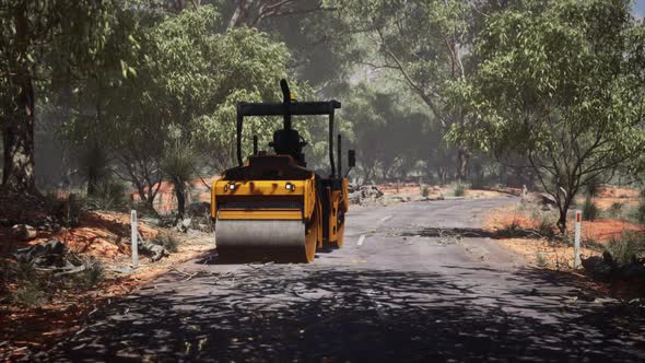 Road Roller Tractor in the Forest