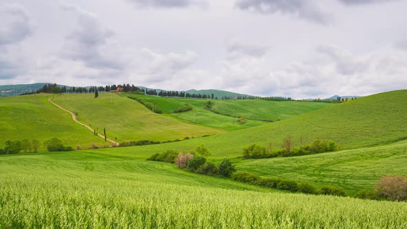 Time lapse: unique green landscape in Volterra region, Tuscany, Italy. Scenic clouds moving by wind.