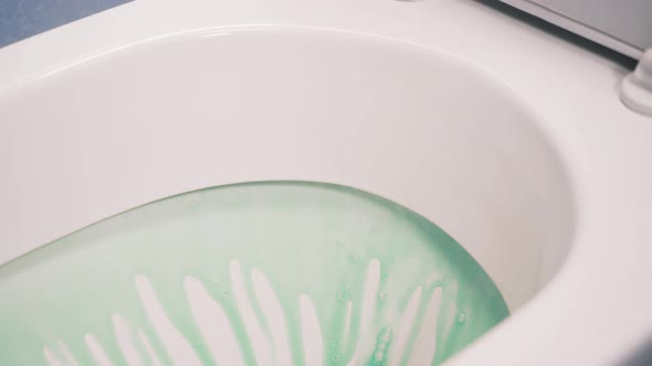 Cleaning and Washing Toilet Bowl with Detergents