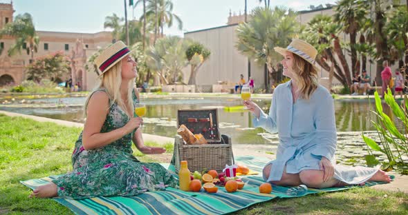 Two Smiling Girlfriends Are Talking and Laughing While Sitting on the Picnic, 