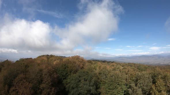 Sabaduri Mountain. Autumn forest. Georgia