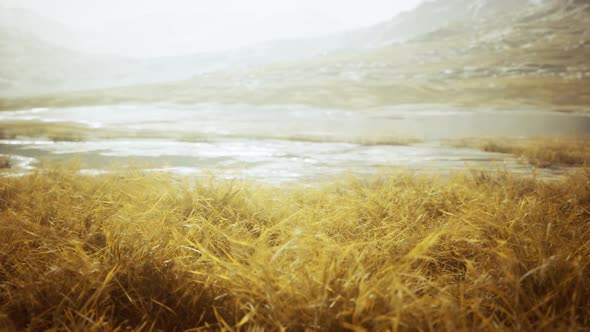 Yellow Dry Grass on the Mountain in Autumn