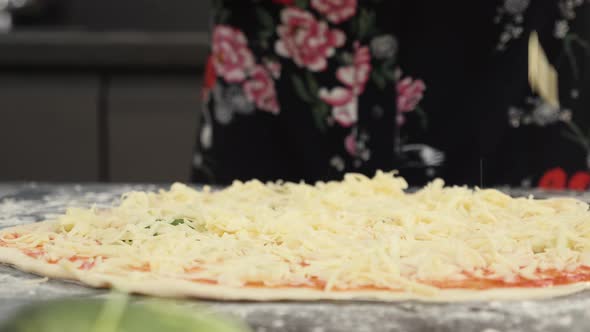 Process of making original italian pizza.