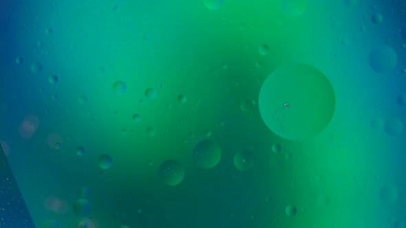 Oil bubbles in water macro. Green and blue gradient background