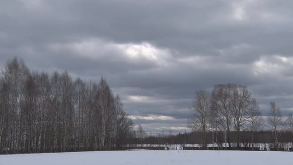 Clouds And Forest In Winter