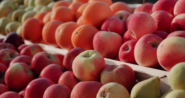 Ripe Fruit on the Counter of the Farmers Market