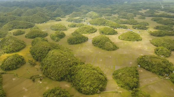 Landscape with Green Hills Bohol, Philippines