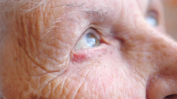 Portrait of Elderly Woman Watching Pensive To Distance. Close Up of Wrinkled Female Face