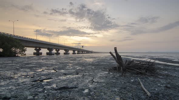 Timelapse sunset over mangrove tree root