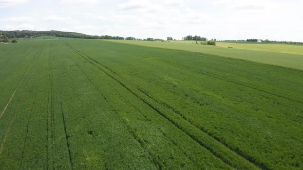 Aerial Drone Shot  a Green Field in a Rural Area  Drone Flies Across Field Gradually Descending