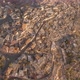 Cappadocia Aerial Shot of Rock Chimneys and Uchisar Castle in Goreme Turkey - VideoHive Item for Sale