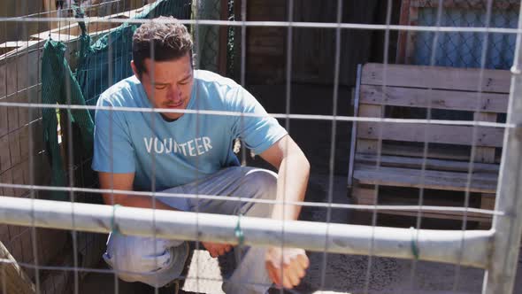 Dog in a shelter with volunteer