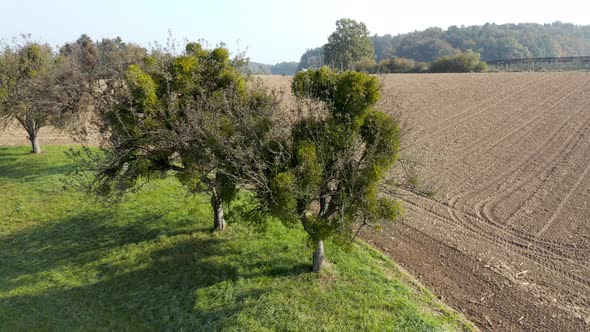 Aerial view of cultivated farmland on a sloped field in the outskirts of cresnjevec in rural Sloveni