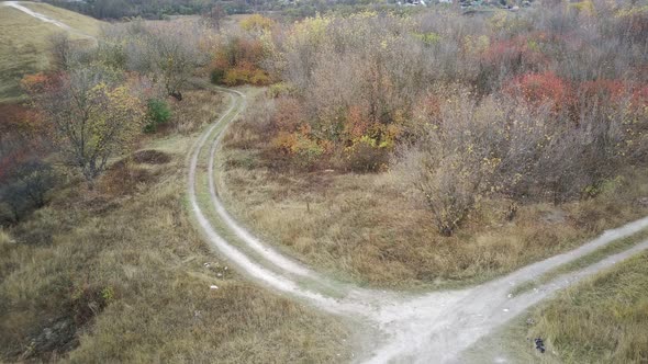 Aerial View of Path in Countryside