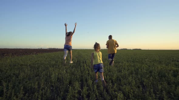 Children Playing In The Summer Field With Grass And Blue Sky