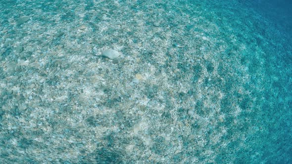 Relaxant Rays of Sun on the Seabed of the Sea