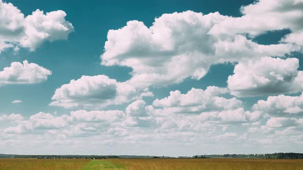 Time-lapse Of Summer Countryside Rural Field Meadow Landscape Under Scenic Dramatic Sky With Fluffy