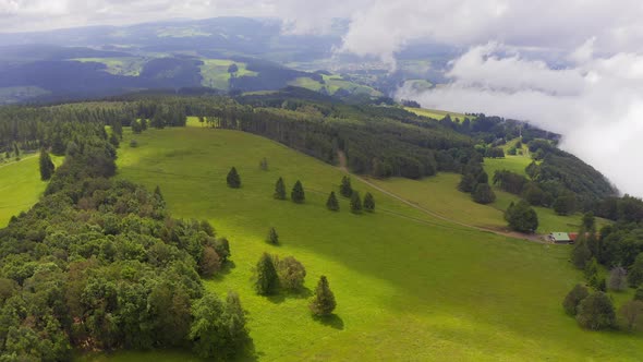 Forward Aerial Over Green Hills Covered in Grass and Forest