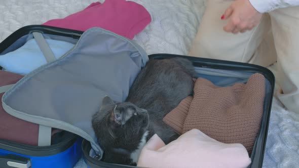 A Woman in Light Clothes Is Taking Apart a Travel Bag in Blue with Things of Different Colors