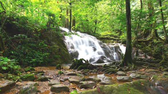 Time Lapse Tropical Waterfall In Deep Forest