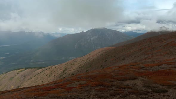 Colorful Meadow Fields on Top of Nares Mountain