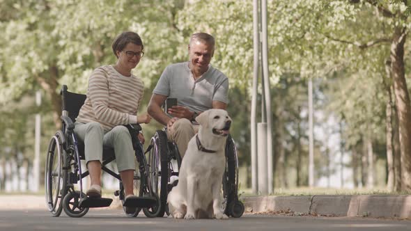 Happy Wheelchair Couple with Dog in Park