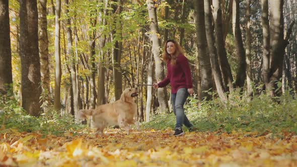 Girl Playing with a Dog