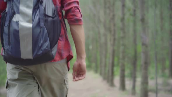 Asian backpacker man on hiking adventure freedom walking in forest, holidays near lots of tree.