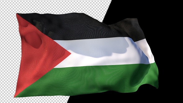 Flag Of Palestine