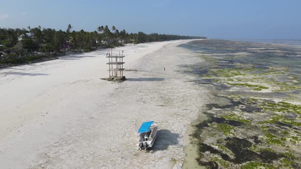 Zanzibar Tanzania  Low Tide in the Ocean Near the Shore