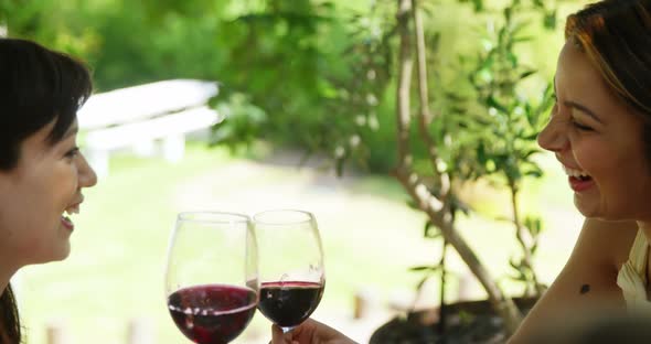 Two friends toasting red wine glasses