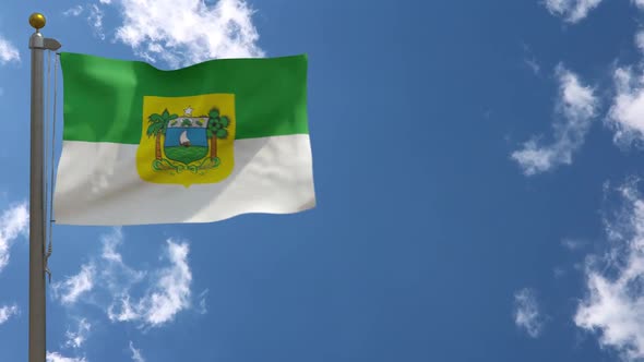 Rio Grande Do Norte Flag (Brazil) On Flagpole